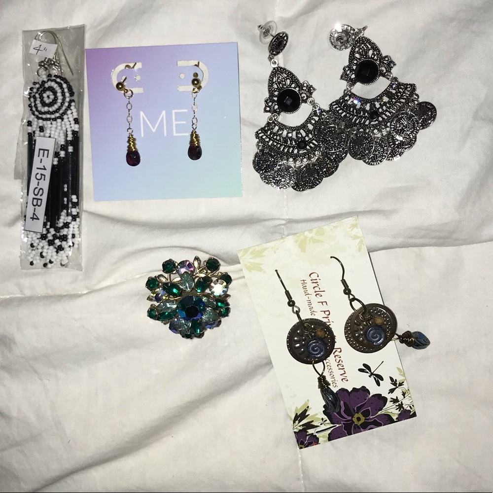 Five Pack Assortment of Earrings and Pin